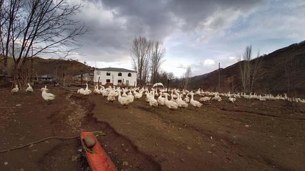 Yapamazsın diyenlere inat tüm birikimini bu işe yatırdı Şimdi talebe yetişemiyor