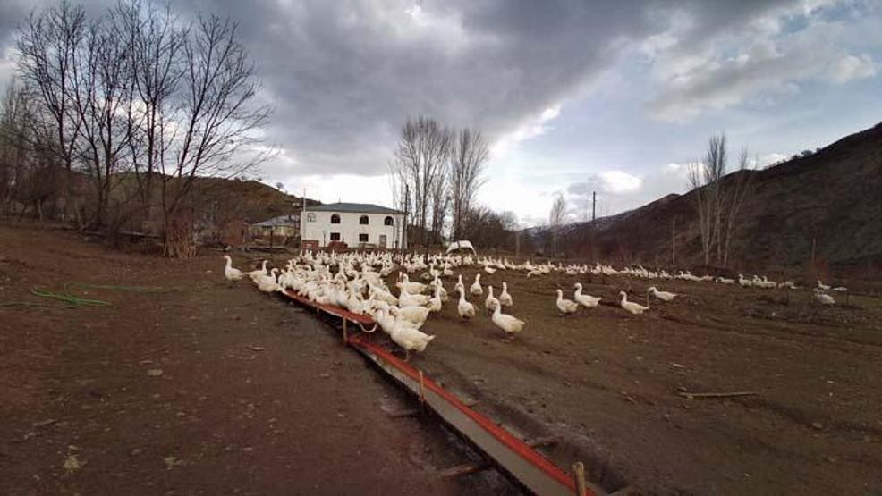 Yapamazsın diyenlere inat tüm birikimini bu işe yatırdı Şimdi talebe yetişemiyor