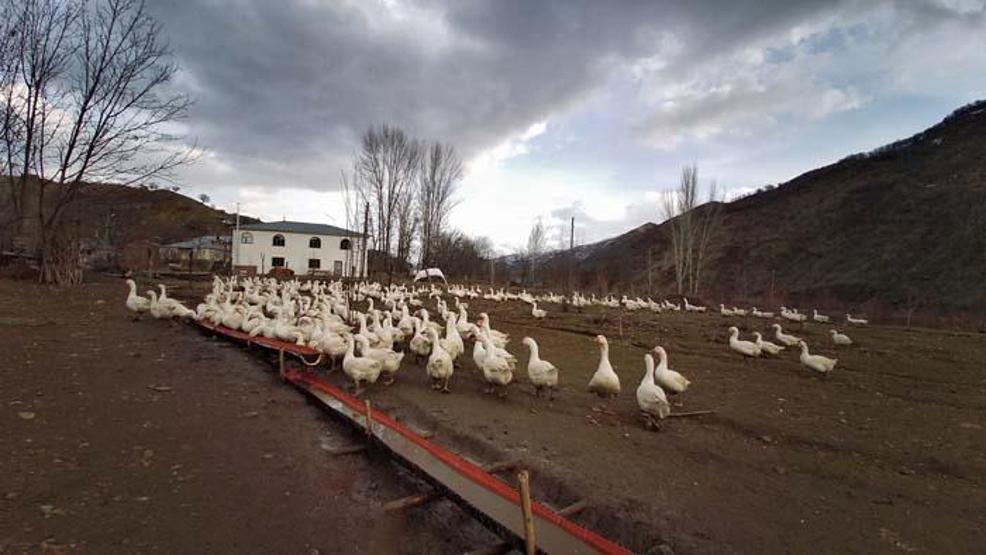 Yapamazsın diyenlere inat tüm birikimini bu işe yatırdı Şimdi talebe yetişemiyor