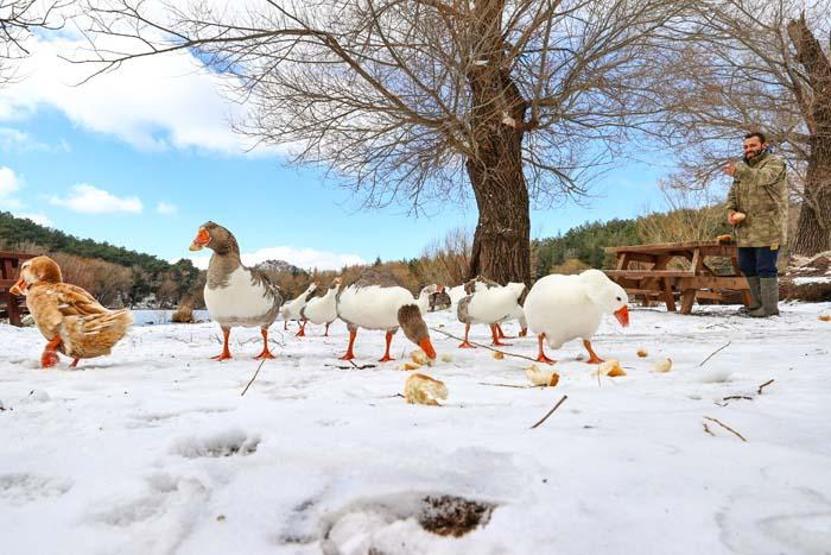 İzmir Karagöl Tabiat Parkından kar manzaraları