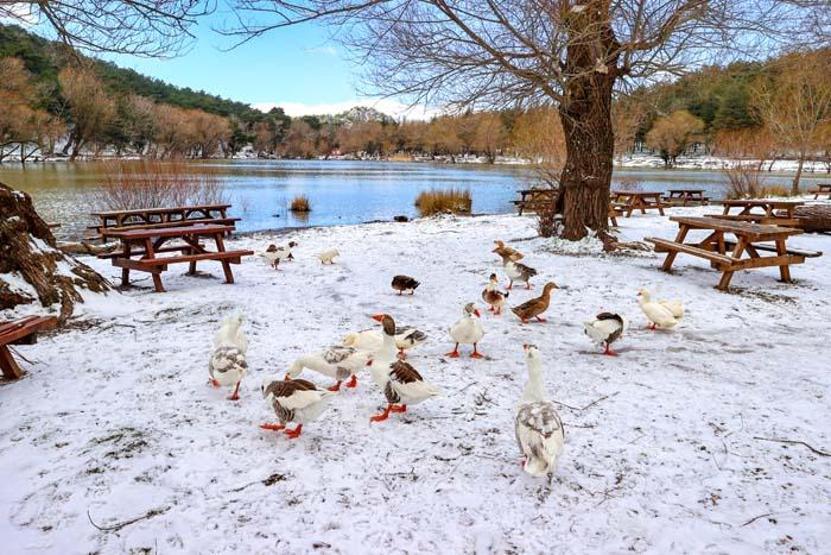 İzmir Karagöl Tabiat Parkından kar manzaraları