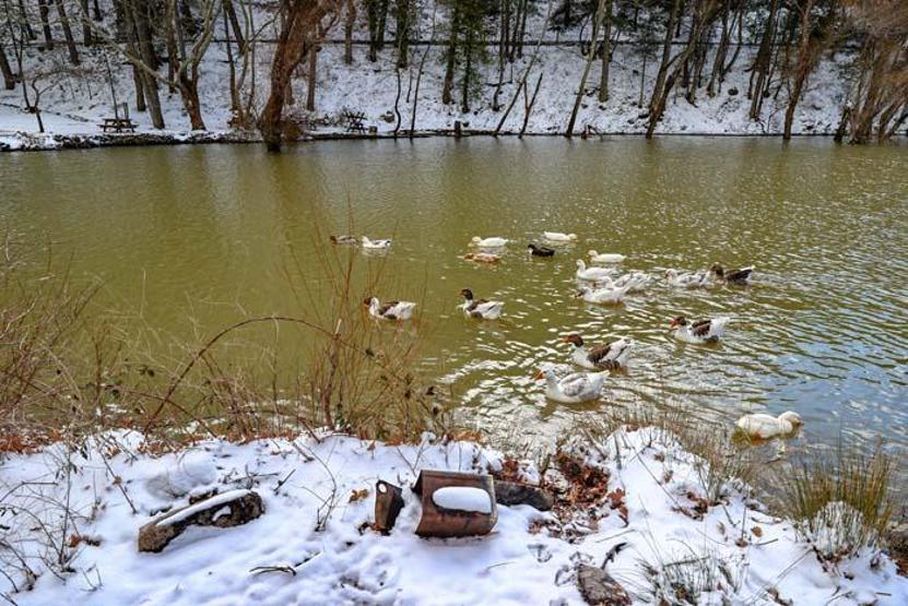 İzmir Karagöl Tabiat Parkından kar manzaraları