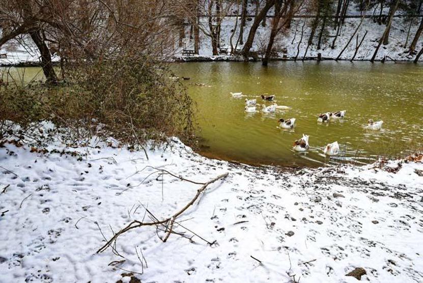 İzmir Karagöl Tabiat Parkından kar manzaraları