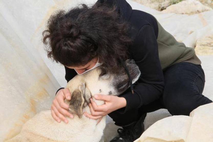 Komşusu, üniversiteli Fatma’nın köpeğini vurdu, Aynısını sana da yaparım diye tehdit etti