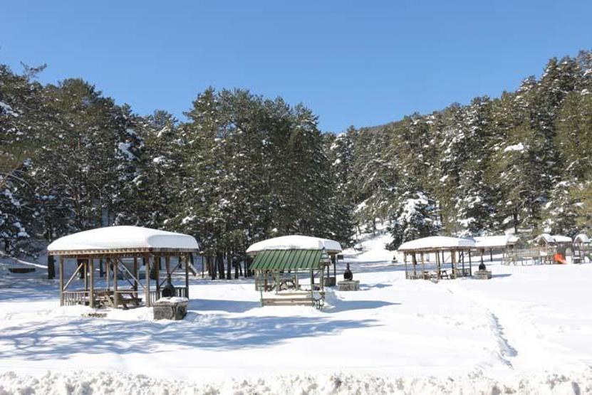 Abant Tabiat Parkı en sakin günlerini yaşıyor