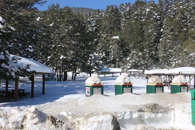 Abant Tabiat Parkı en sakin günlerini yaşıyor