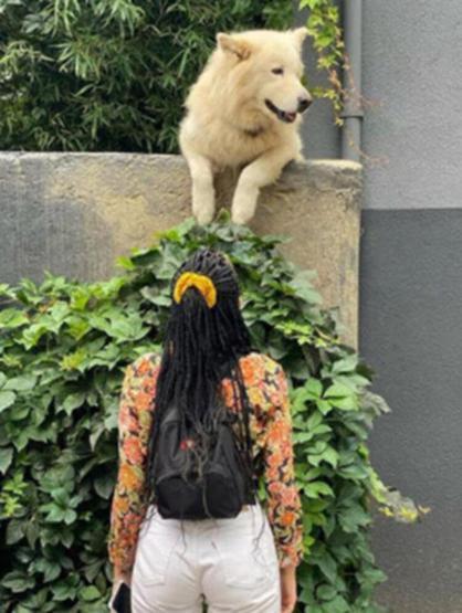 Halseyden yeni hamilelik pozu