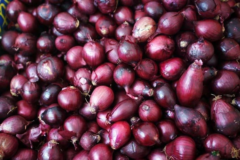 Yaşlı ve obezleri koronavirüsten koruyor En çok bu besinde var