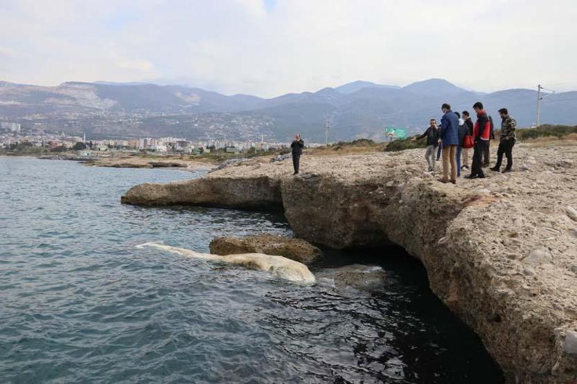 12 metre uzunluğundaki ölü balina yavrusu Hatayda kıyıya vurdu