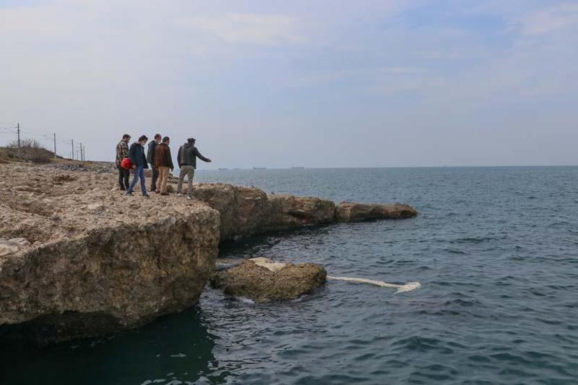 12 metre uzunluğundaki ölü balina yavrusu Hatayda kıyıya vurdu