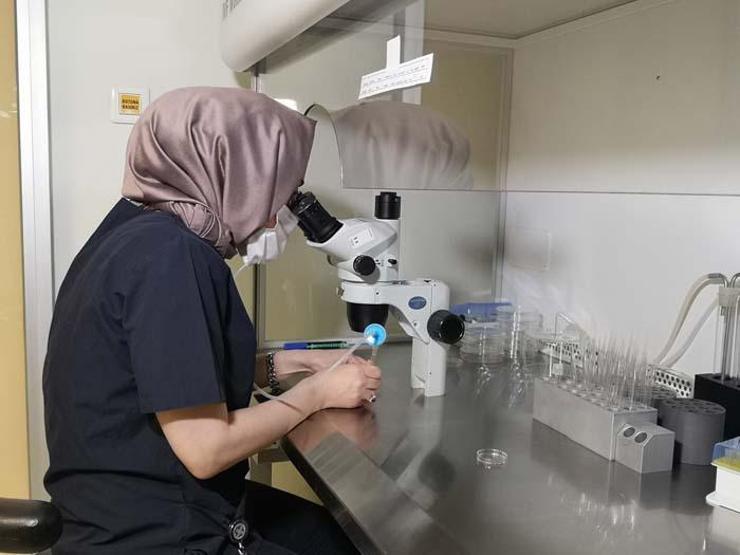 Dikkat Bu ürünler kısırlığı tetikliyor