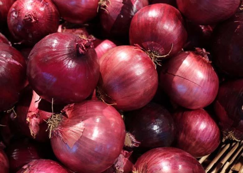 Koronavirüste akciğer hasarını engelliyor En çok bu besinlerde var