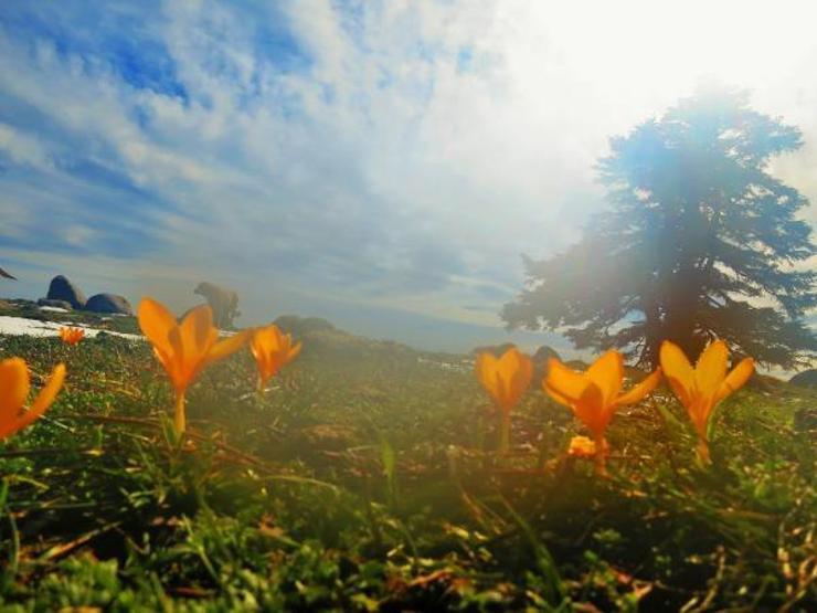Kazdağları kıştan bahara geçiyor