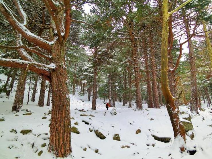 Kazdağları kıştan bahara geçiyor