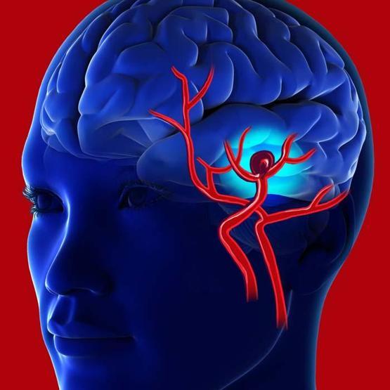 Çocukluktan yaşlılığa beyni güçlü ve zinde tutacak 20 öneri