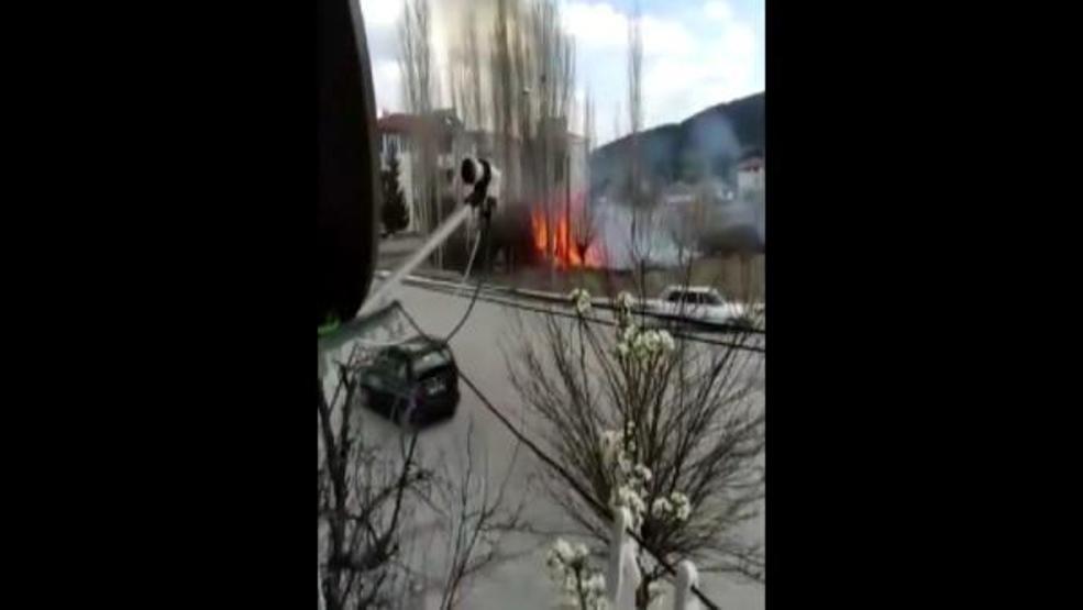 Arazi yangından sokak hayvanları telef oldu
