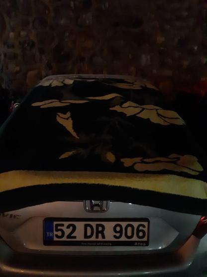 Orduda doluya battaniyeli önlem