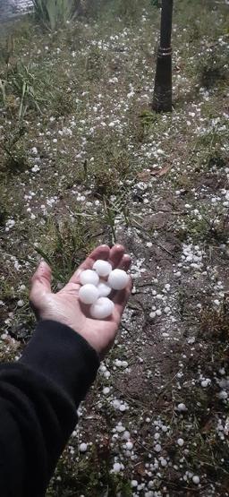 Orduda doluya battaniyeli önlem