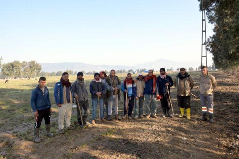 Meraları su altına kalan çobanlar, hayvanlarını otlatacak yer bulamıyor