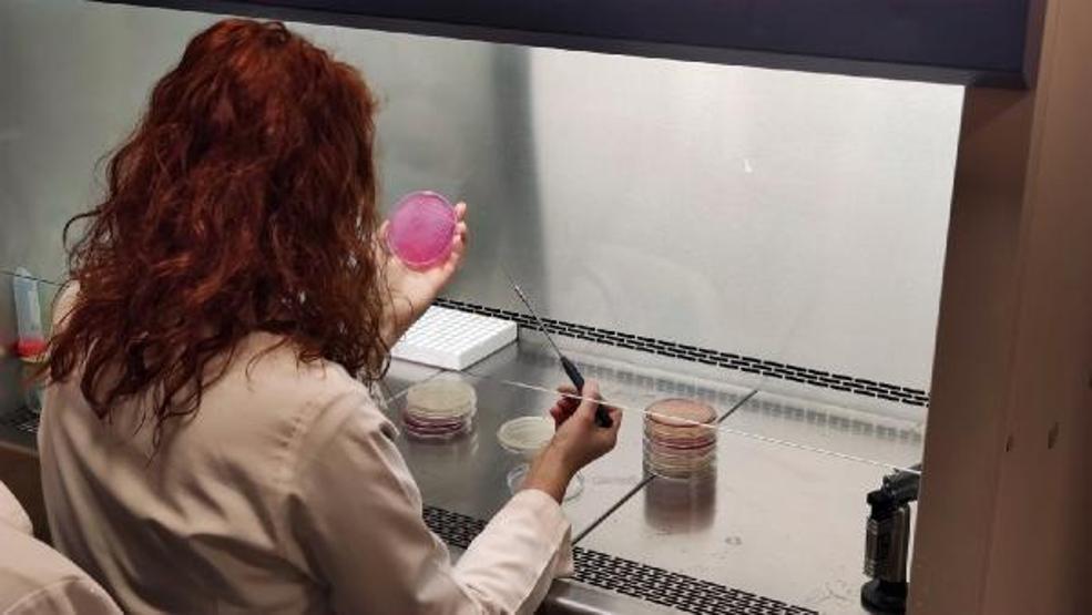 Dünya Kanser İstatistikleri yayımlandı; ölüm oranında yüzde 30 düşüş En çok hangi kanser türleri görülüyor