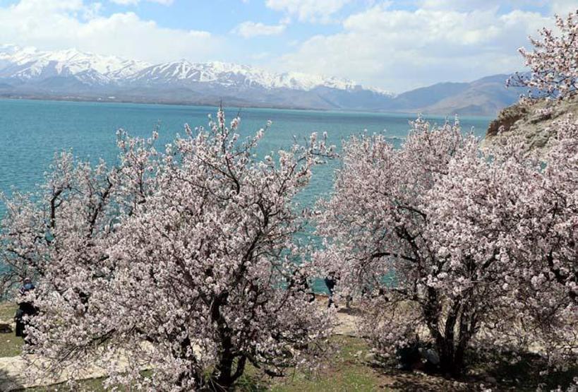 Akdamar Adasında ilkbahar güzelliği Ziyaretçi akınına uğruyor