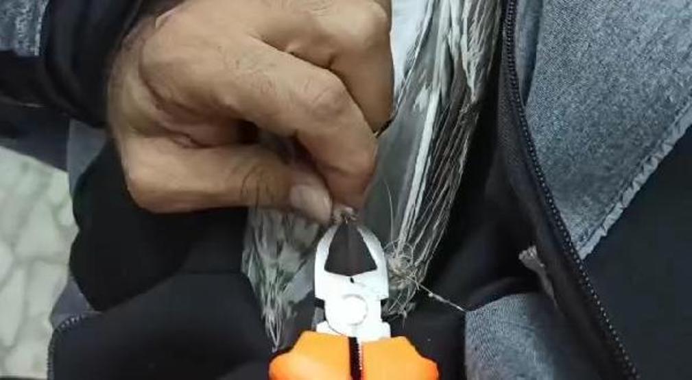 Ayaklarına misina dolanan martı kurtarıldı