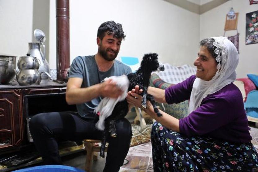 Annesinin reddettiği oğlak Dinaya torunları gibi bakıyorlar