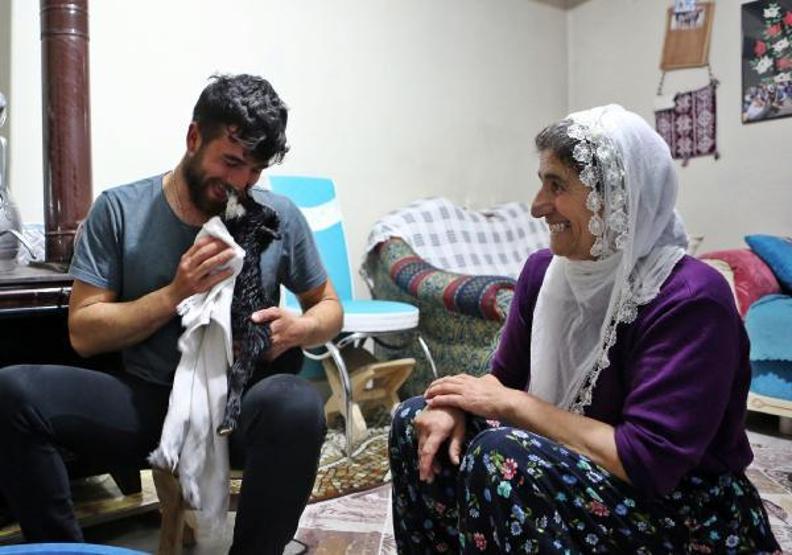 Annesinin reddettiği oğlak Dinaya torunları gibi bakıyorlar