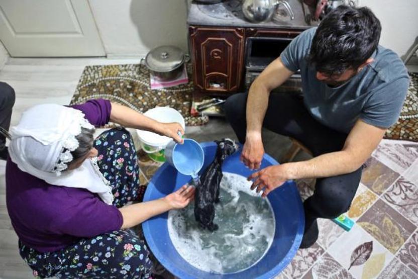 Annesinin reddettiği oğlak Dinaya torunları gibi bakıyorlar