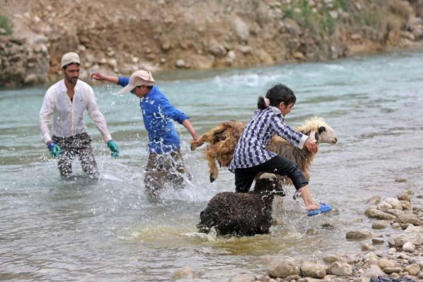 Kaşkay Türklerinin asırlardır sürdürdükleri gelenek yaylaya göç başladı