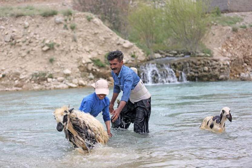 Kaşkay Türklerinin asırlardır sürdürdükleri gelenek yaylaya göç başladı