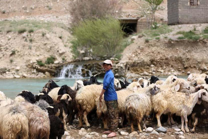 Kaşkay Türklerinin asırlardır sürdürdükleri gelenek yaylaya göç başladı