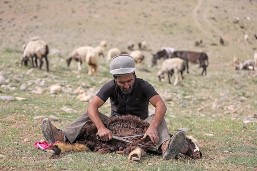 Kaşkay Türklerinin asırlardır sürdürdükleri gelenek yaylaya göç başladı