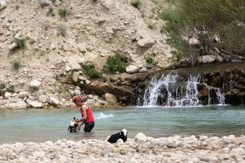 Kaşkay Türklerinin asırlardır sürdürdükleri gelenek yaylaya göç başladı