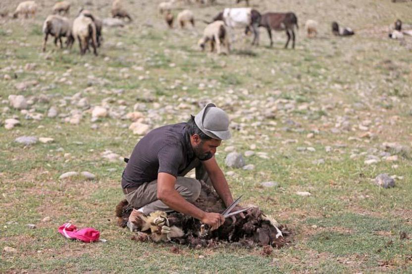 Kaşkay Türklerinin asırlardır sürdürdükleri gelenek yaylaya göç başladı