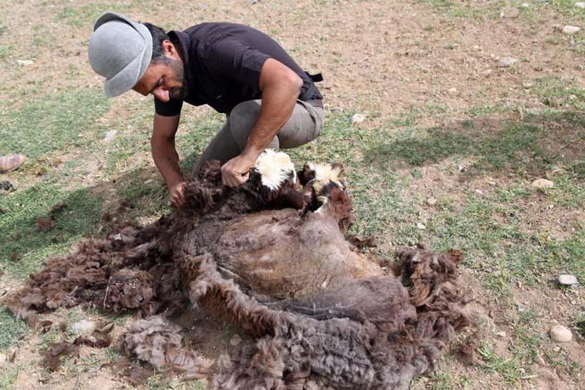 Kaşkay Türklerinin asırlardır sürdürdükleri gelenek yaylaya göç başladı