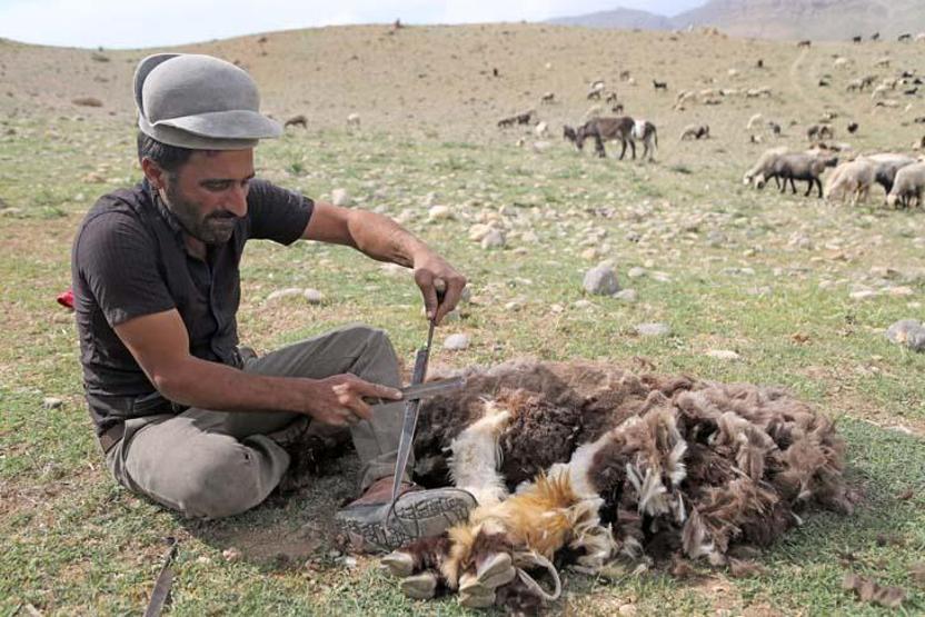 Kaşkay Türklerinin asırlardır sürdürdükleri gelenek yaylaya göç başladı