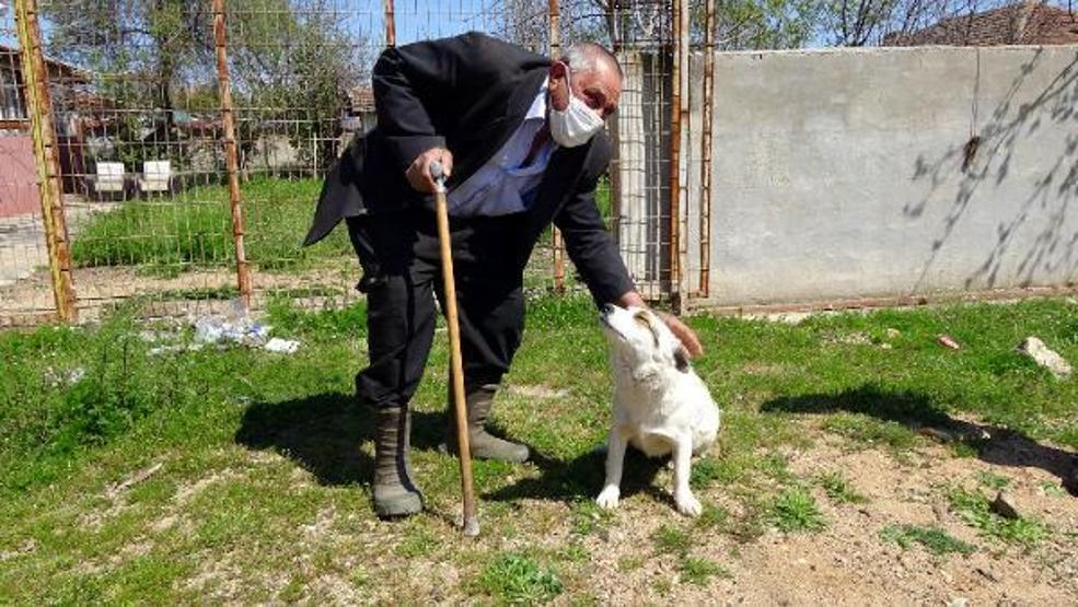 Kayıp olarak aranan yaşlı adamın beslediği sokak köpeğine köylüler sahip çıktı