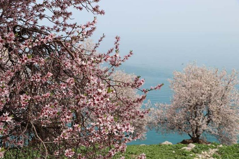 Akdamar Adasında hafta sonunda pandemi sessizliği