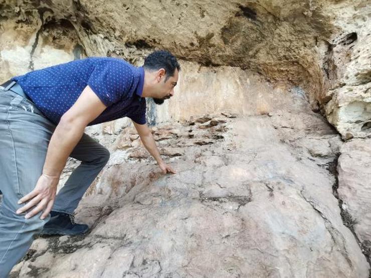 Mağarada 8 bin yıllık kaya resimleri bulundu