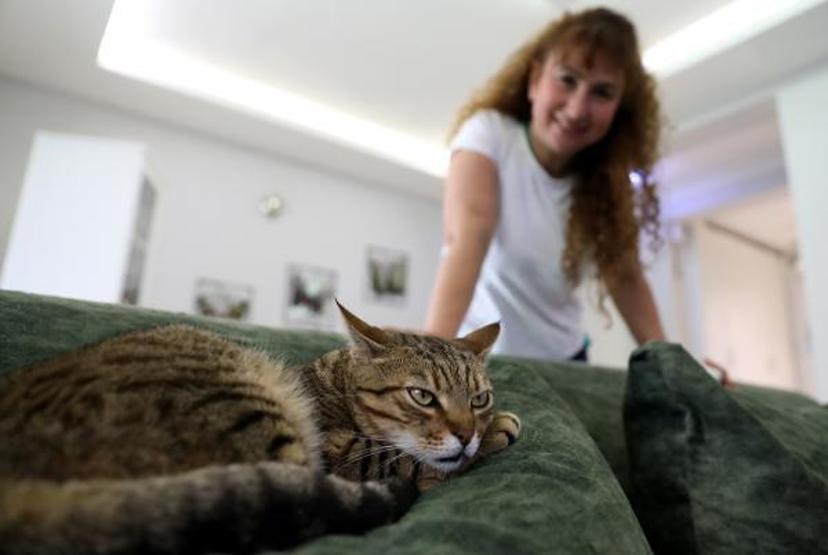 Villasında 33 kedi ve 4 köpeğe bakıyor