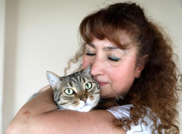 Villasında 33 kedi ve 4 köpeğe bakıyor
