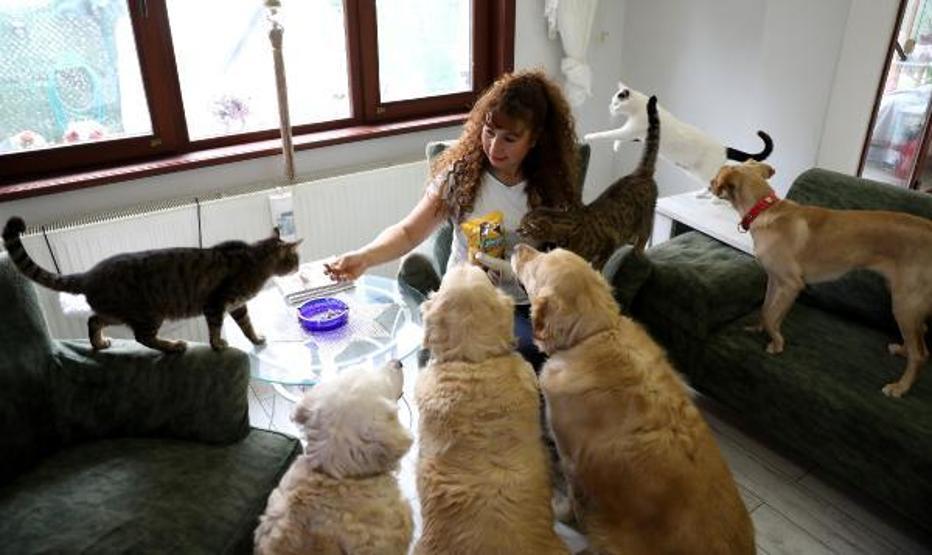 Villasında 33 kedi ve 4 köpeğe bakıyor
