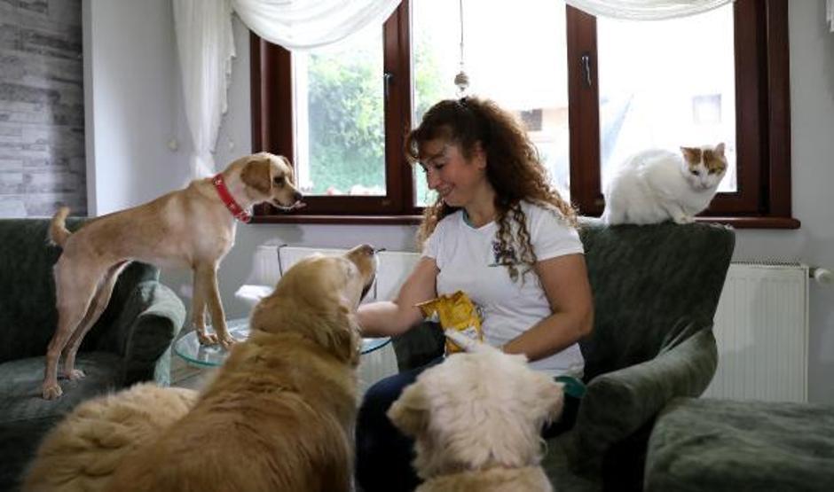 Villasında 33 kedi ve 4 köpeğe bakıyor