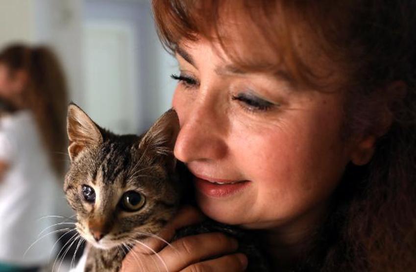 Villasında 33 kedi ve 4 köpeğe bakıyor