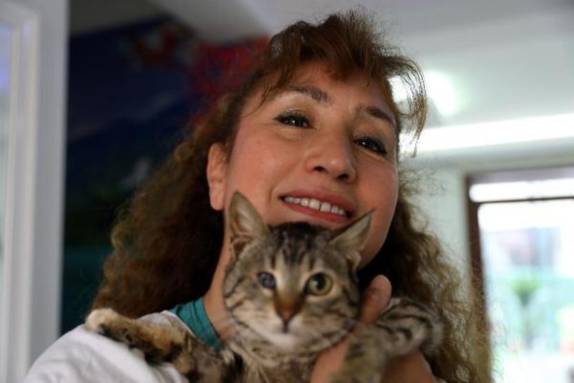 Villasında 33 kedi ve 4 köpeğe bakıyor