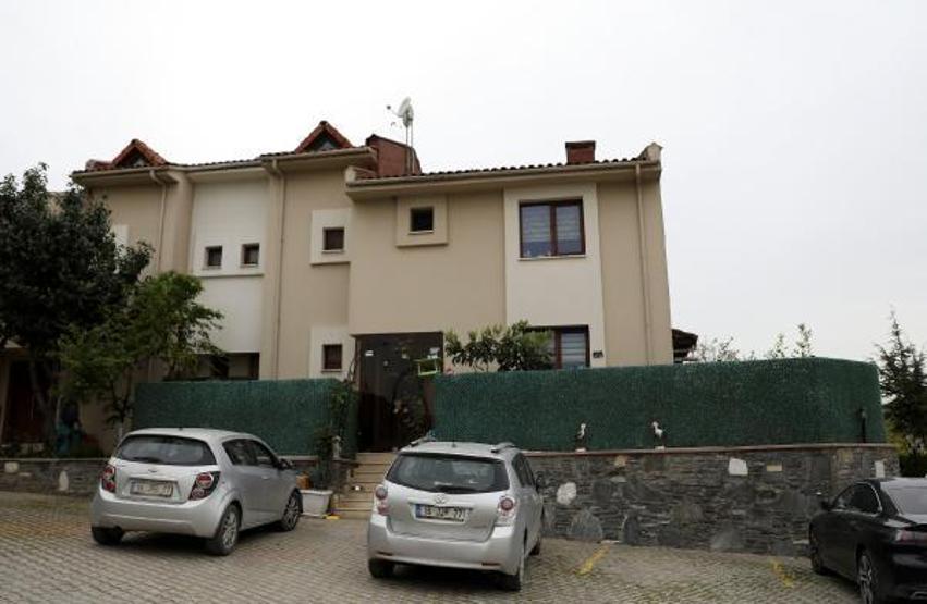 Villasında 33 kedi ve 4 köpeğe bakıyor