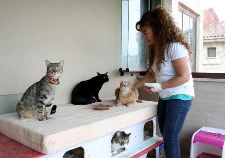 Villasında 33 kedi ve 4 köpeğe bakıyor