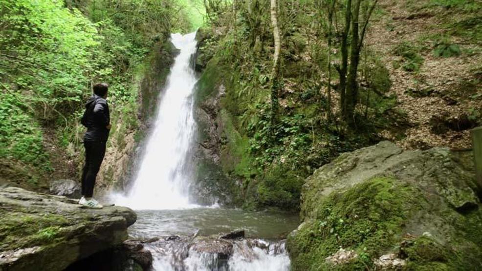 Ormanın içindeki gizli cennet Düzcedeki Aydınpınar Şelalesi pandemi sonrasına hazırlanıyor