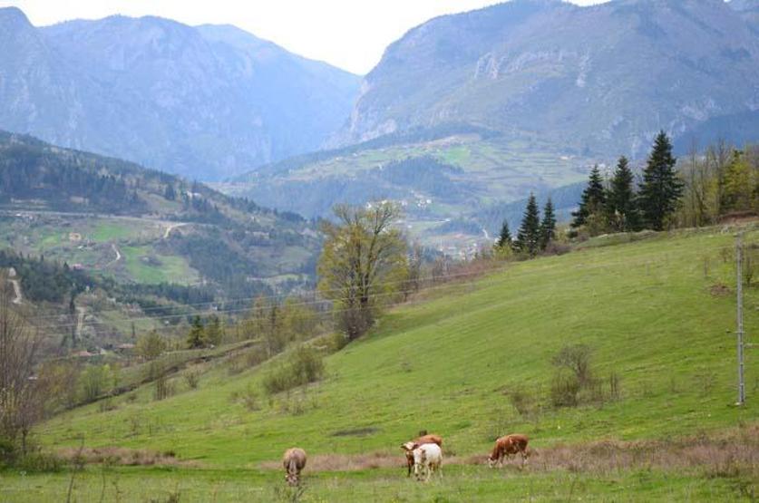 İzole tatil isteyenlerin gözde ilçesi Ziyaretçileri hayran bırakıyor